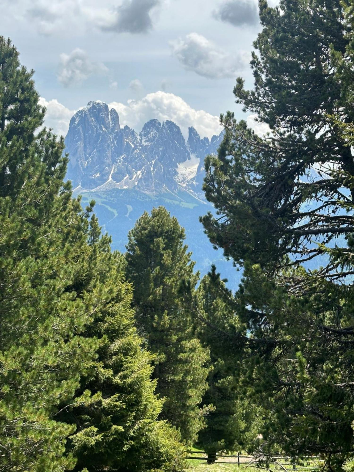 Chalet Da Mont Resciesa Urtijëi Dış mekan fotoğraf